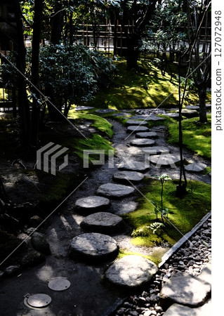 Japanese Garden (Stepping Stones) Japanese Garden (Stepping Stones) 127072948