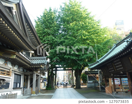 被新綠環繞的湯島天神社 127073835