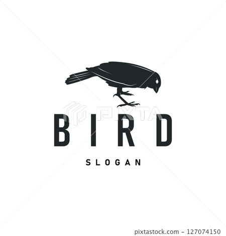 bird logo concept animal design flying freely in the sky hummingbird silhouette with a simple, cool, modern design illustration of a brand symbol template for a business product or poster template bird logo concept animal design flying freely in the sky hummingbird silhouette with a simple, cool, modern design illustration of a brand symbol template for a business product or poster template 127074150