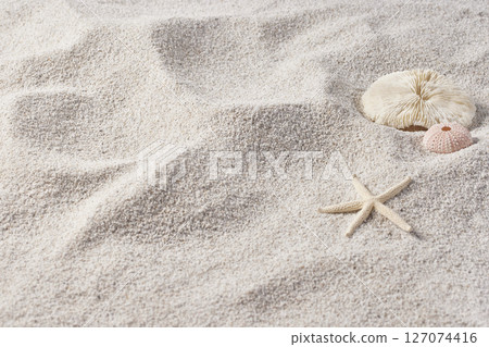 Seashells and Starfish on Soft Beach Sand Minimal Summer Nature Background. Seashells and Starfish on Soft Beach Sand Minimal Summer Nature Background. 127074416