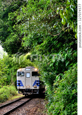 北條鐵道紀波40號五能線彩色JNR型柴油車行駛在新綠色之中 127074577