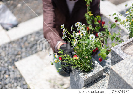 A woman placing flowers at a grave 127074975