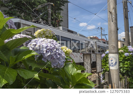 Tokyu Setagaya Line Tokyu Setagaya Line 127075383