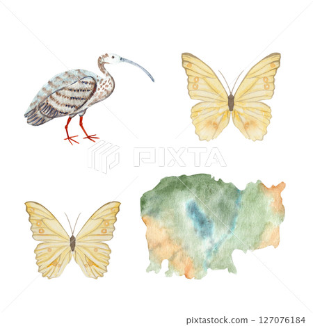 Ibis bird, two yellow butterflies, and Cambodia map, hand painted in watercolor. Perfect for travel blogs, eco tourism, educational materials, wildlife branding, packaging, and tropical design themes 127076184