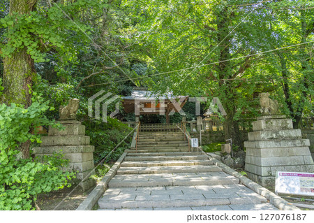 寶良神社(石清水八幡宮山腳) 寶良神社(石清水八幡宮山腳) 127076187