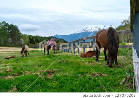 Kiso Horse Village and Mount Norikura Kiso Horse Village and Mount Norikura 127076202