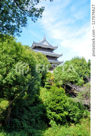 Nishio Castle Honmaru Oda Tiger Oar 127076627