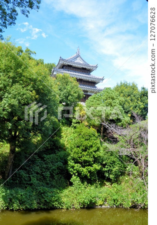Nishio Castle Honmaru Oda Tiger Oar 127076628