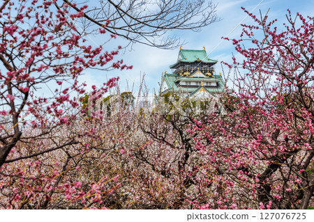 Osaka Castle Tower from the plum forest 127076725