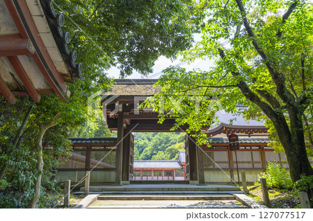The Tongu Shrine of Iwashimizu Hachimangu: The North Gate and Tsutsui The Tongu Shrine of Iwashimizu Hachimangu: The North Gate and Tsutsui 127077517