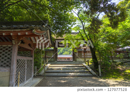 The Tongu Shrine of Iwashimizu Hachimangu: The North Gate and Tsutsui The Tongu Shrine of Iwashimizu Hachimangu: The North Gate and Tsutsui 127077528