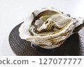 Seasonal rock oysters on a white background 127077777