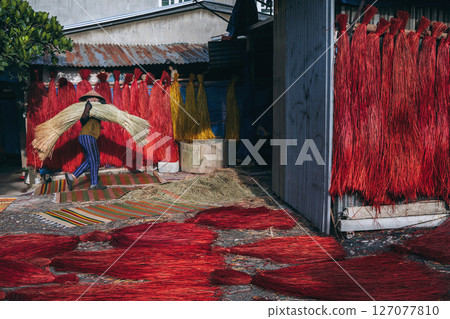 Vietnamese woman in a traditional straw hat dries dyed reeds for the production of woven mats at factory in an artisan village in Vietnam Vietnamese woman in a traditional straw hat dries dyed reeds for the production of woven mats at factory in an artisan village in Vietnam 127077810