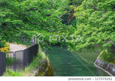 Lake Biwa Canal, near the entrance to the Moroha Tunnel, Kyoto City 127078262