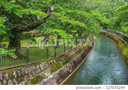 琵琶湖疏水道 京都市 琵琶湖疏水道 京都市 127078264