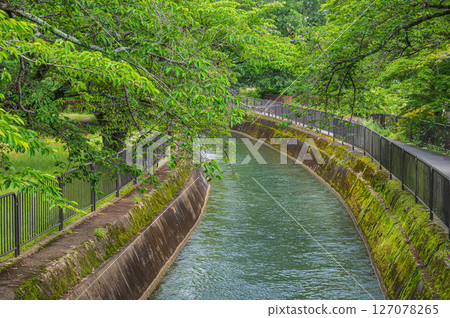 Lake Biwa Canal Kyoto City Lake Biwa Canal Kyoto City 127078265