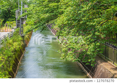 琵琶湖疏水道 京都市 琵琶湖疏水道 京都市 127078270