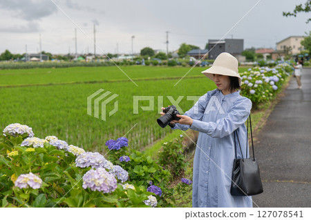 拍繡球花的照片婦女 127078541