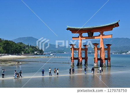 嚴島神社Otorii 嚴島神社Otorii 127078750