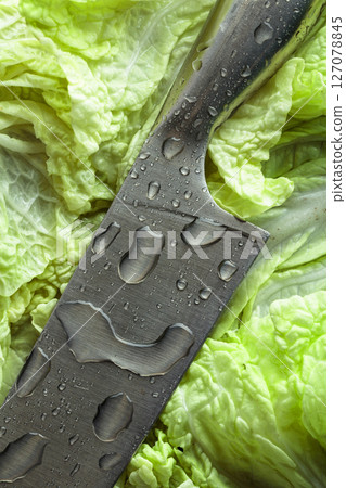 New kitchen knife with water drops on a fresh Chinese cabbage leaves. 127078845