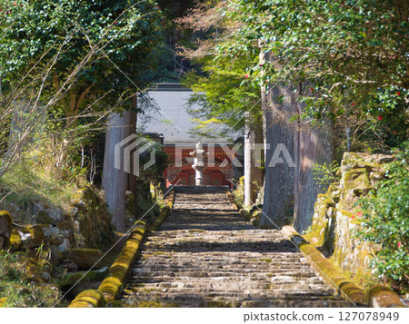 樓梯【常勝寺】 127078949