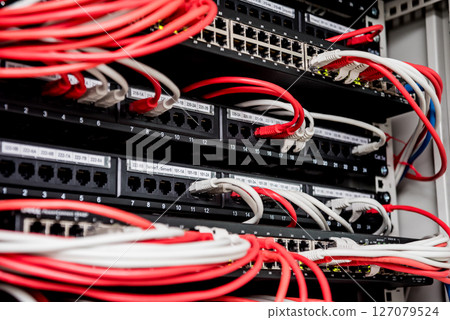 Network switch and ethernet cables in red and white colors. Data Center 127079524