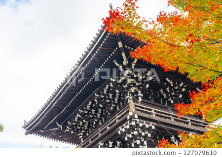 Shokokuji Temple: Hongin Tower (bell tower) and autumn leaves Shokokuji Temple: Hongin Tower (bell tower) and autumn leaves 127079610