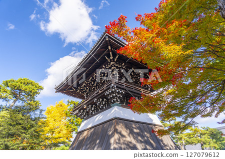 Shokokuji Temple: Hongin Tower (bell tower) and autumn leaves Shokokuji Temple: Hongin Tower (bell tower) and autumn leaves 127079612