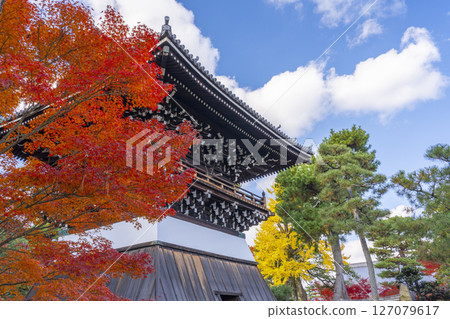 Shokokuji Temple: Hongin Tower (bell tower) and autumn leaves Shokokuji Temple: Hongin Tower (bell tower) and autumn leaves 127079617