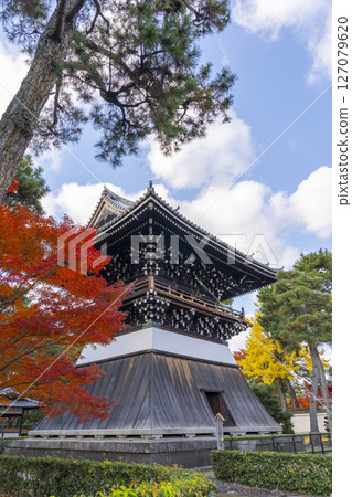 Shokokuji Temple: Hongin Tower (bell tower) and autumn leaves 127079620