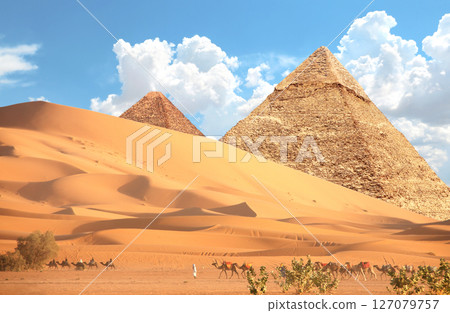 Tourists on train of camels in desert and Great Pyramids, Cairo, Egypt. A traditional tourist attraction - is camel riding, Africa. Topic of vacation, travel, trip abroad, cruises and tours 127079757