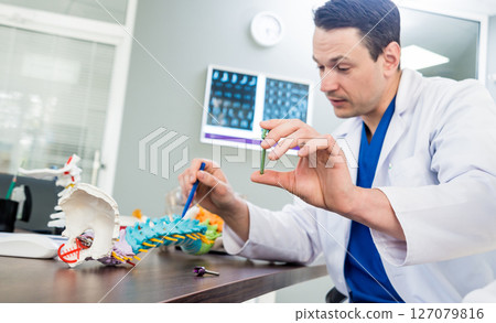 Doctor show polyaxial screw on the spine model. Spine fixation systems 127079816