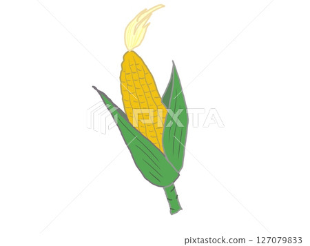 黃玉米插圖 127079833