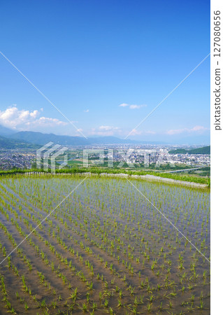 Obasute rice terraces: rice planting season 127080656