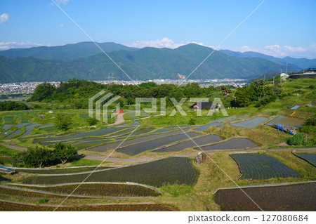 小舍梯田：水稻種植季節 127080684