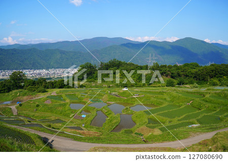 小舍梯田：水稻種植季節 127080690