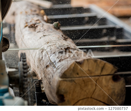 Modern sawmill. Industry sawing boards from logs 127080737