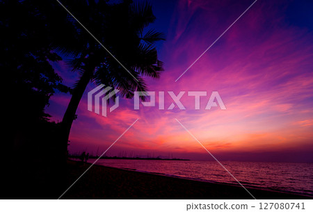Beautiful tropical beach with palm trees. Sunrises and sunsets. Ocean. 127080741