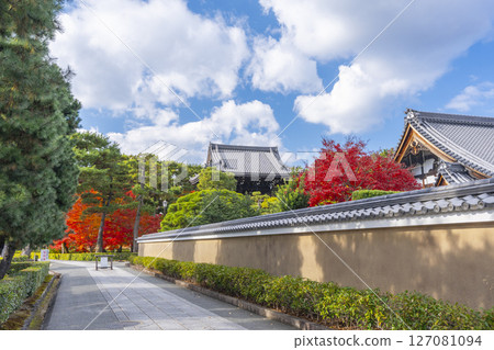 京都相國寺 - 寺院內的秋葉最美 127081094