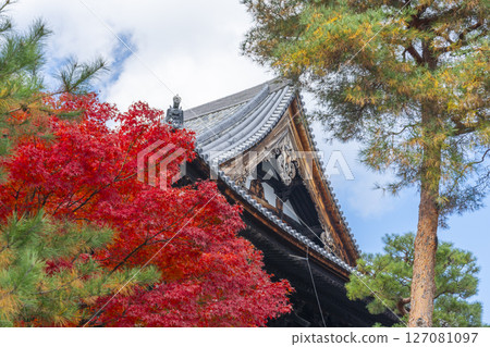 京都：相國寺的講堂（Mui-do）和秋葉 127081097