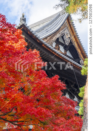 京都：相國寺的講堂（Mui-do）和秋葉 127081098