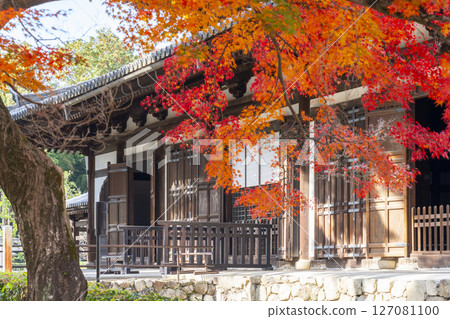 京都:相國寺的講堂(Mui-do)和秋葉 京都:相國寺的講堂(Mui-do)和秋葉 127081100