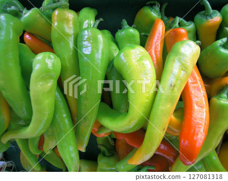 Fresh vegetables 127081318