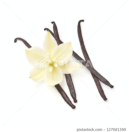 Vanilla stick with flower 127081399