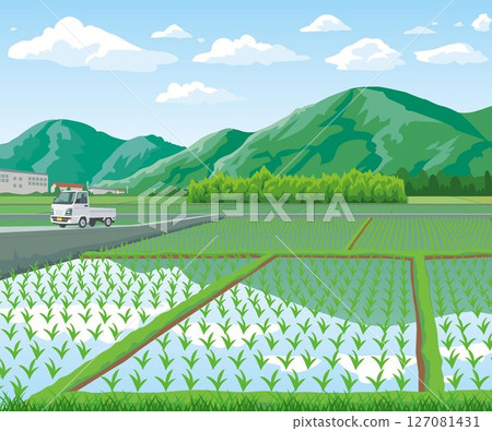 Rural landscape 127081431