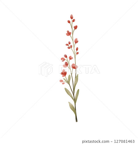 Red flowers Red flowers 127081463