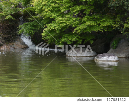 琵琶湖文化公園日落花園 127081812
