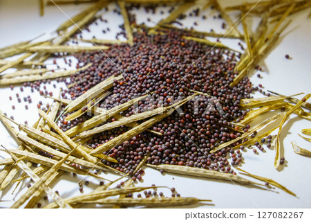 Harvested rapeseed 127082267