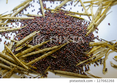 收穫的油菜籽 127082268