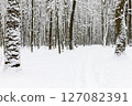 beautiful winter forest  and the road 127082391